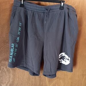 Jurassic World Gray Isla Nublar Men's Shorts